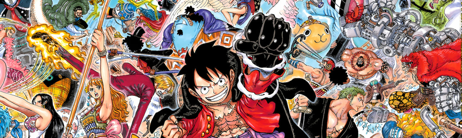 affiche wanted la boutique one piece